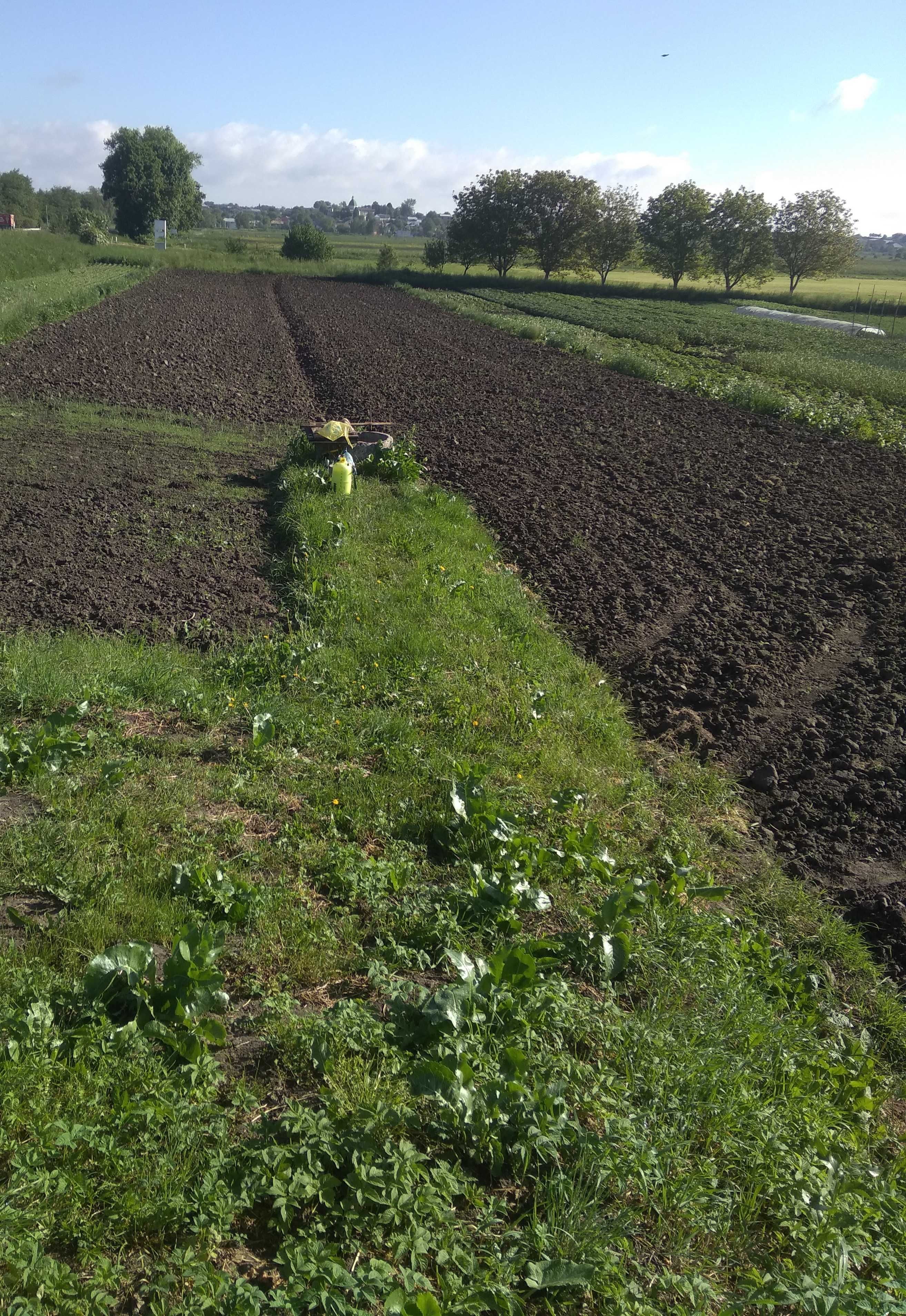Продаж земельної ділянки, Гряда