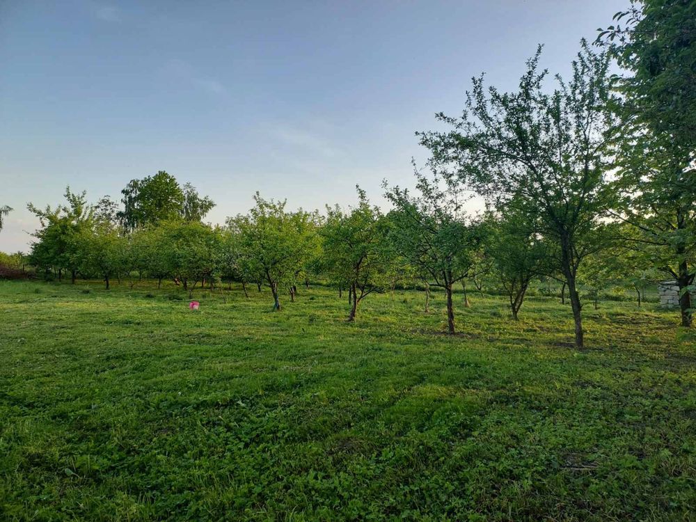 Продаж будинку, Кам'янобрід, вул. Ів. Франка