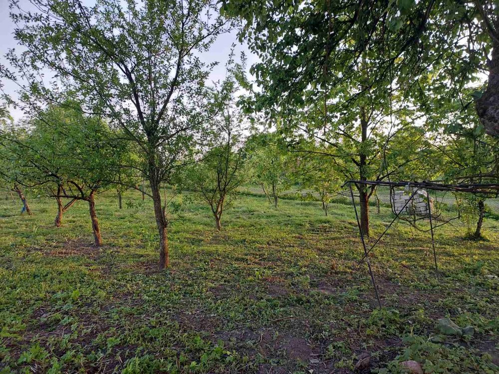 Житлова нерухомість Кам'янобрід, Ів. Франка фото 3