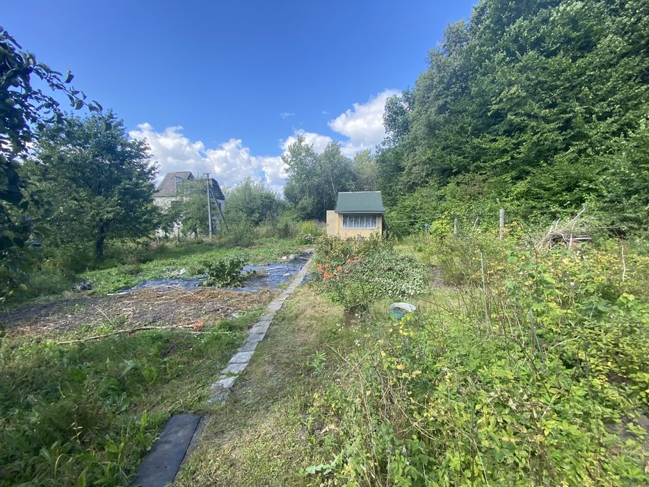Продаж земельної ділянки, Липники