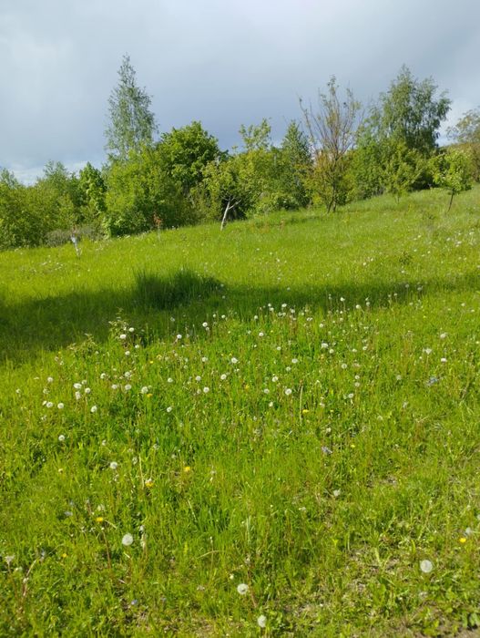 Земельні ділянки Майдан, 4622784400:04:002:0040 фото 9