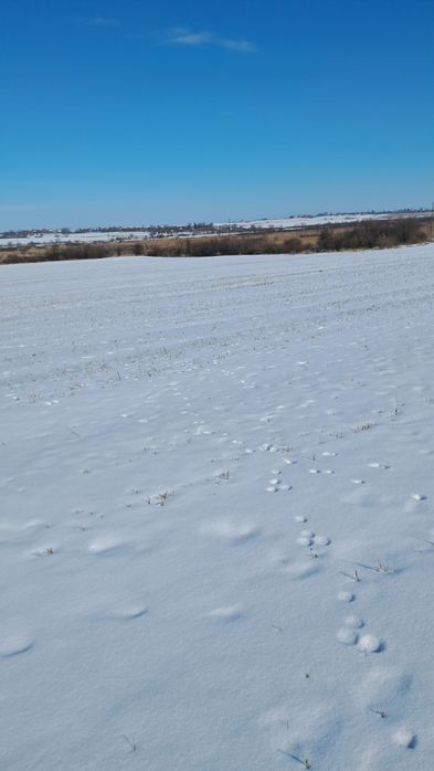 Земельні ділянки Кошелів, нема фото 11