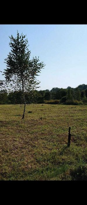 Земельні ділянки Зимна Вода, вул. Вербицького фото 2