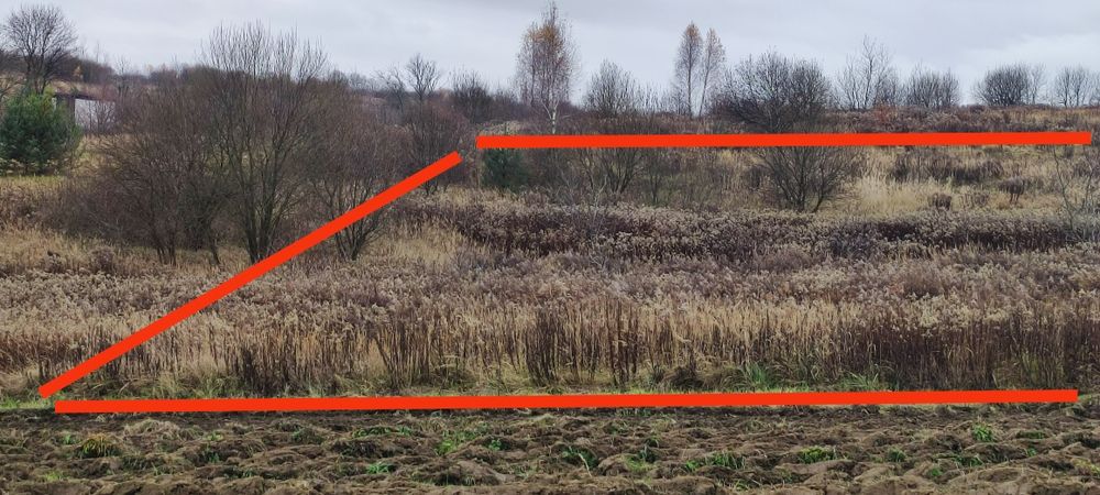 Продаж земельної ділянки, Давидів