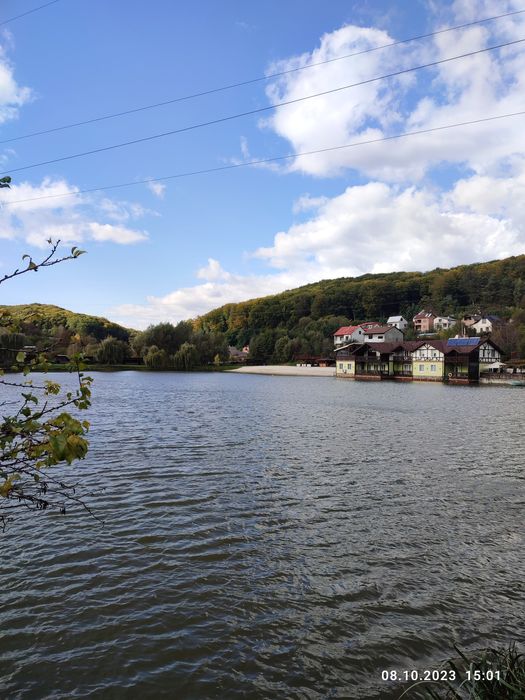 Житлова нерухомість Бережани, Долинівка фото 8