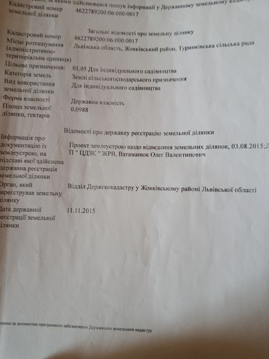 Продаж земельної ділянки, Туринка