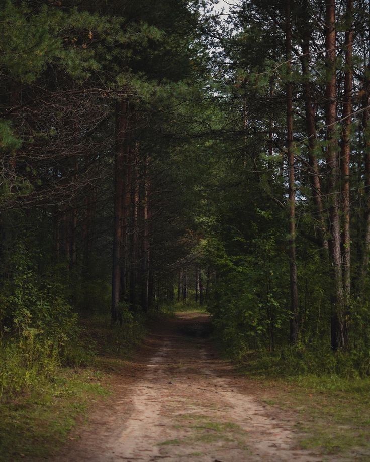 Земельні ділянки Шоломинь, Березна, 5 фото 5