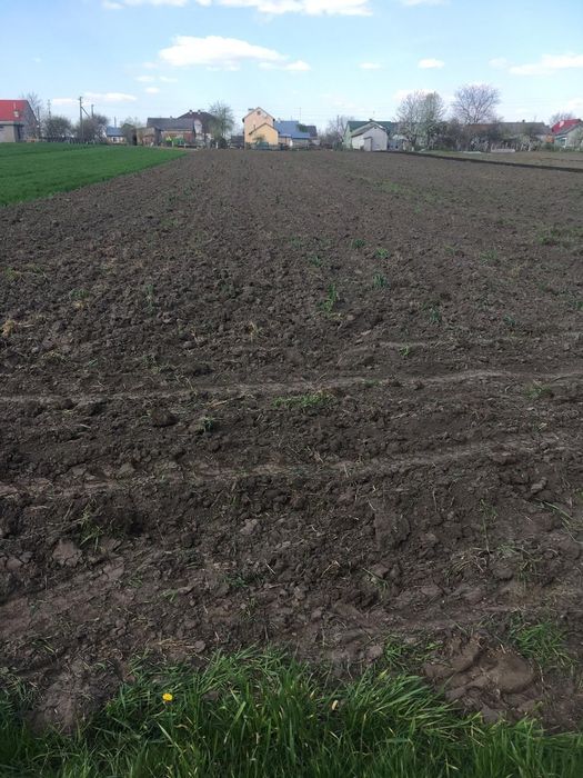 Продаж земельної ділянки, Ременів
