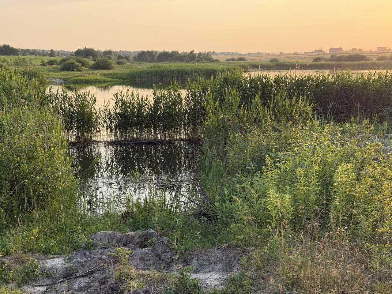 Земельні ділянки Завадів, нема фото 8