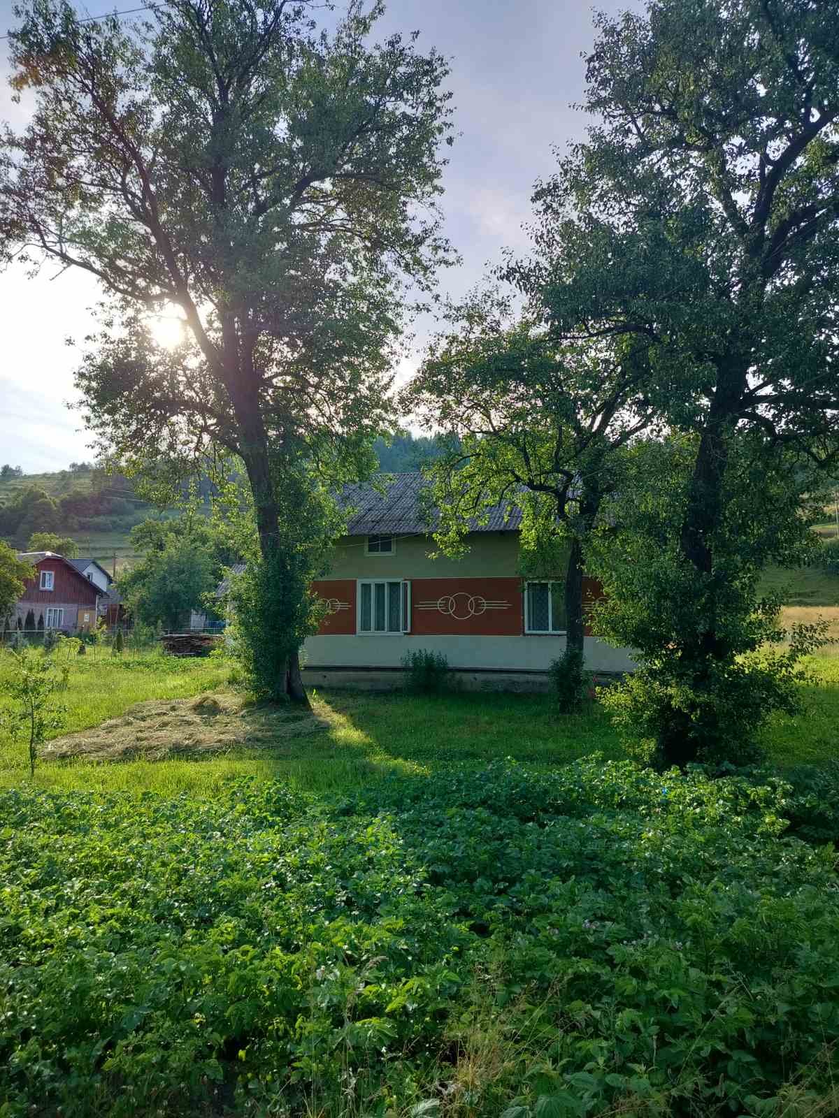 Житлова нерухомість Новий Кропивник, Довбуша, 119 фото 2