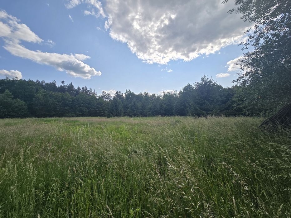 Житлова нерухомість Гринчуки, нема фото 6