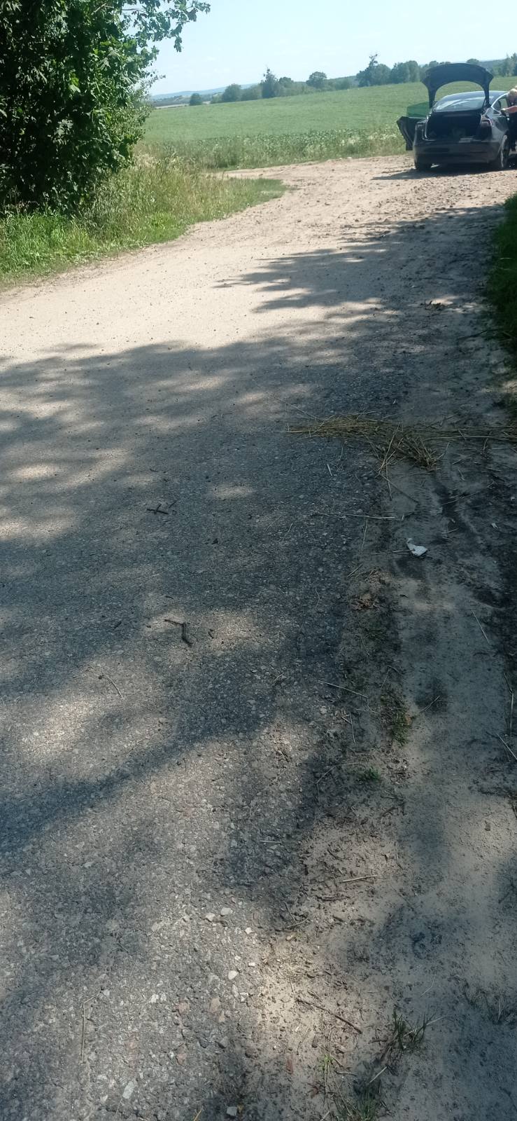 Земельні ділянки Великі Підліски, не призначено фото 19