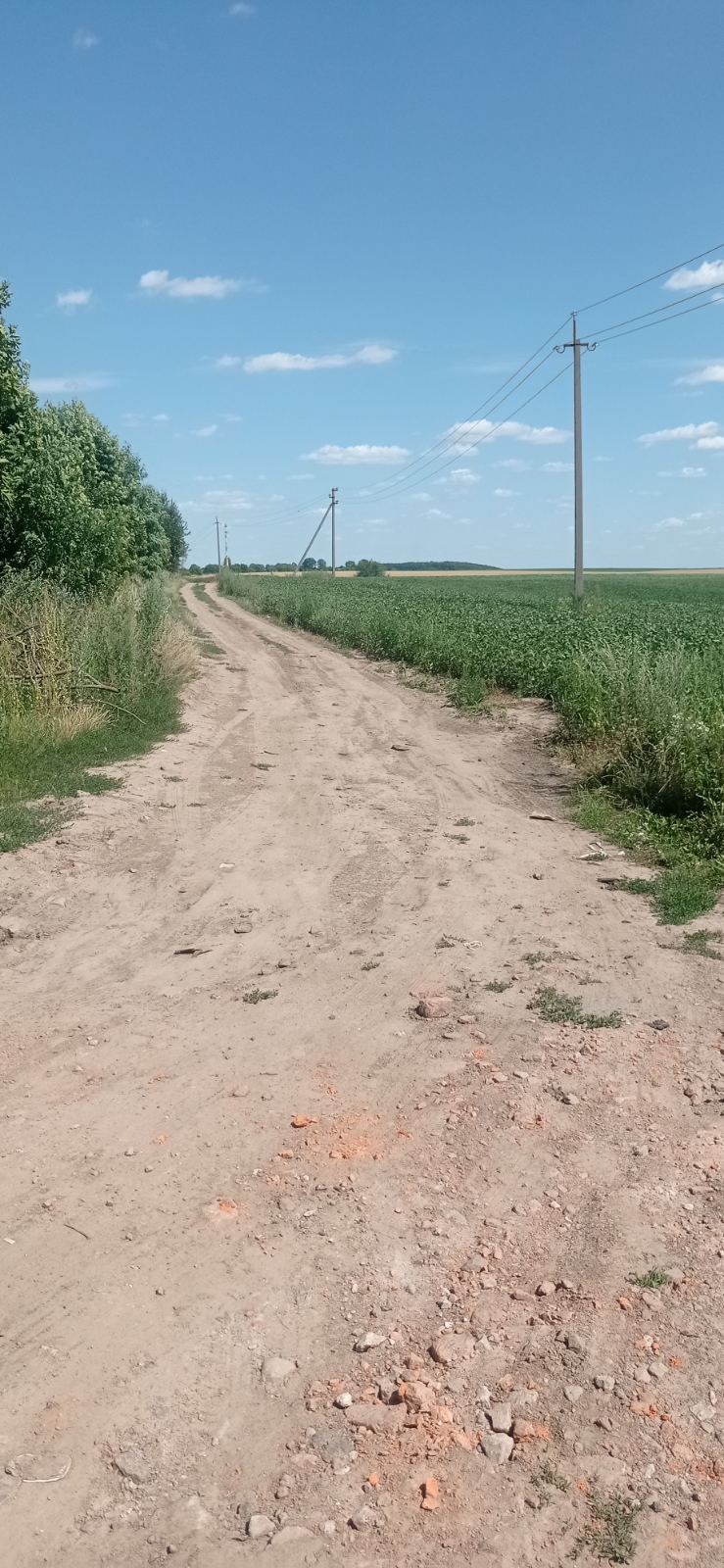 Земельні ділянки Великі Підліски, не призначено фото 17