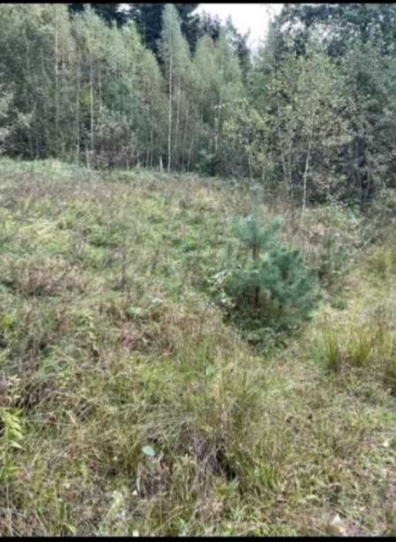 Земельні ділянки Східниця, вул. Героїв Майдану Гірська фото 3