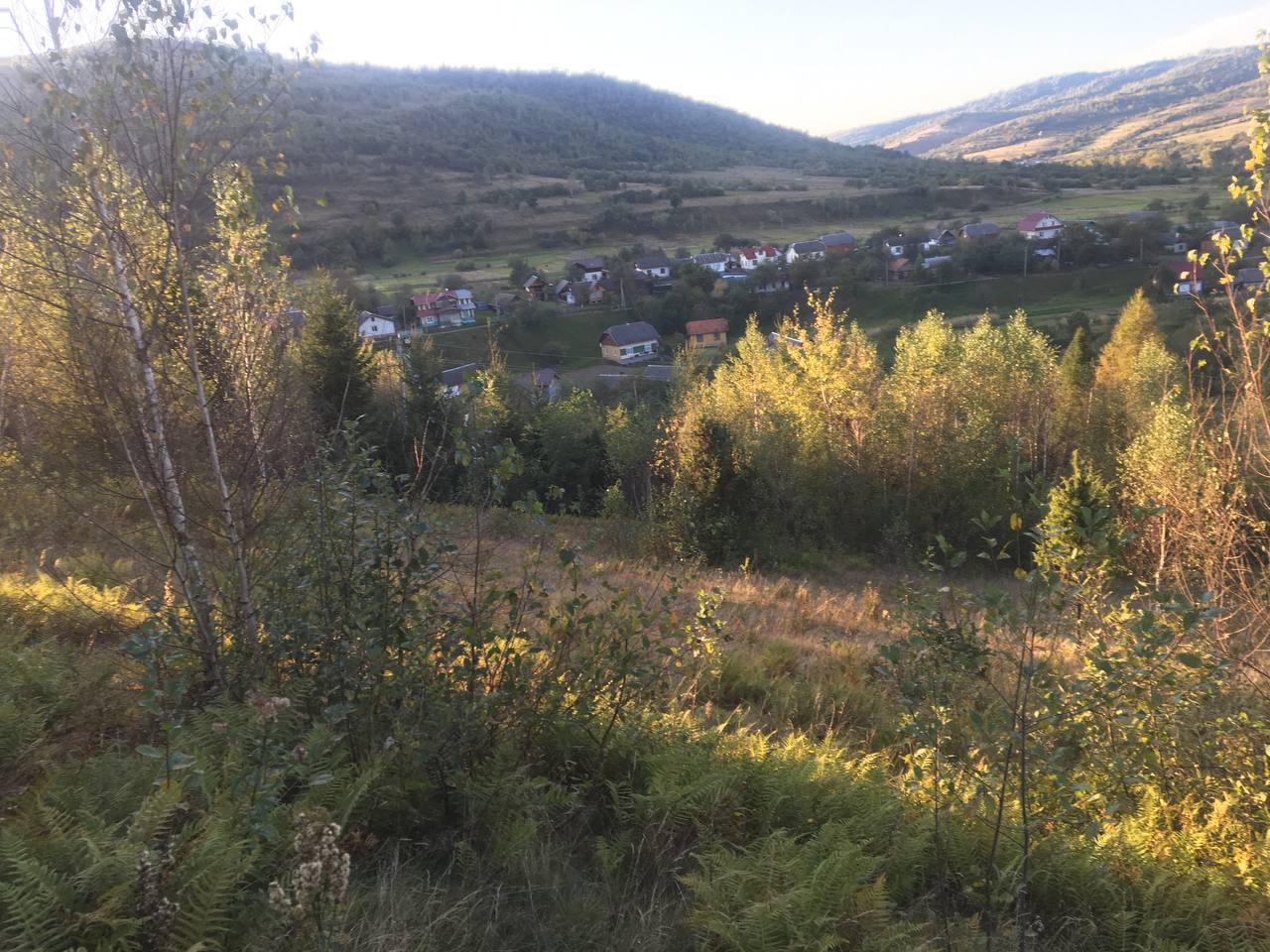 Земельні ділянки Корчин, 4624583600:02:000:0783 фото 2