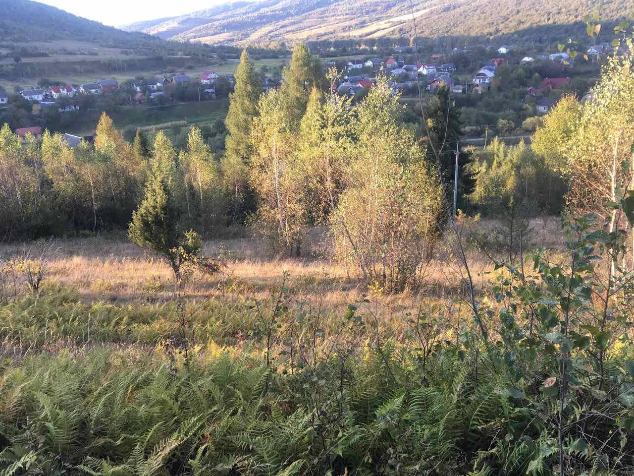 Продаж земельної ділянки, Корчин