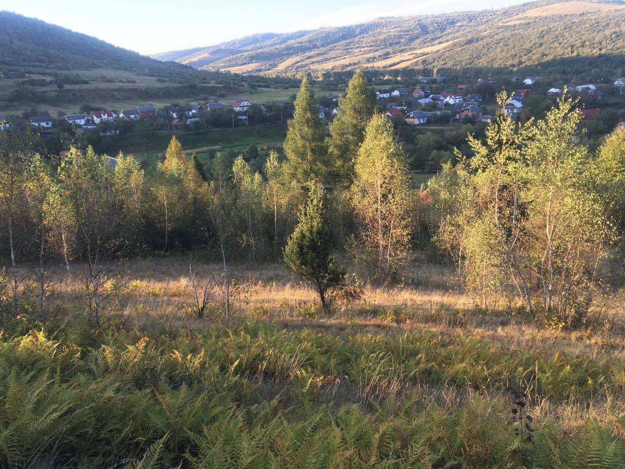 Земельні ділянки Корчин, 4624583600:02:000:0783 фото 3