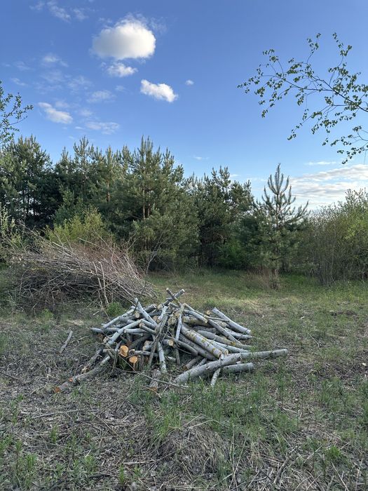Земельні ділянки Бірки, Нема фото 3