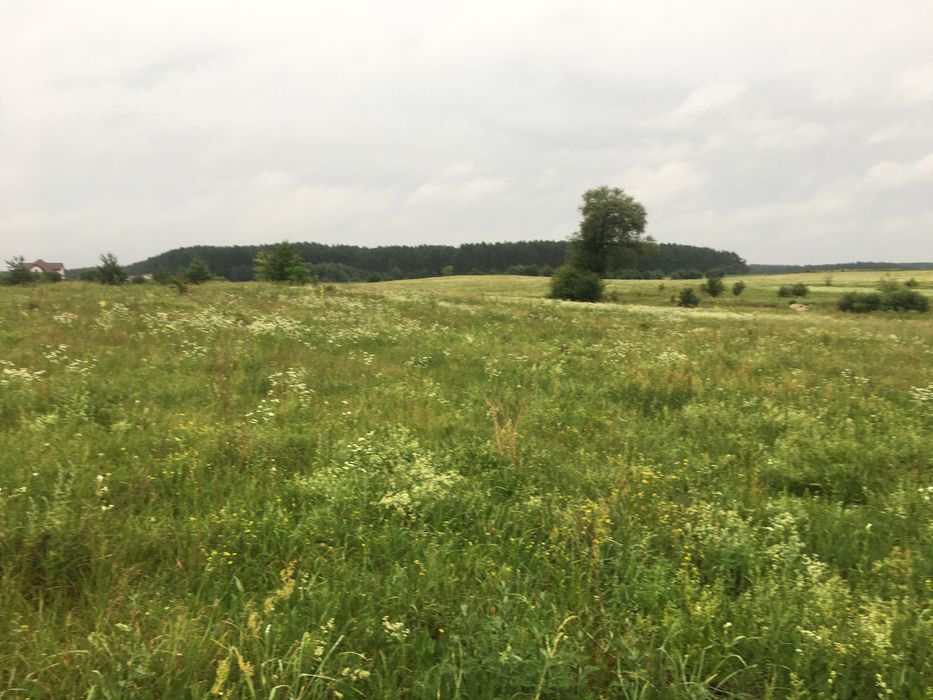 Земельні ділянки Вороців, нема фото 3