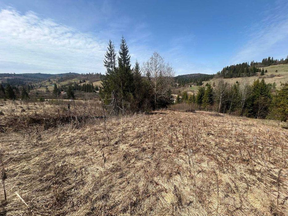 Земельні ділянки Волосянка, 4624580800:06:000:0046 фото 3