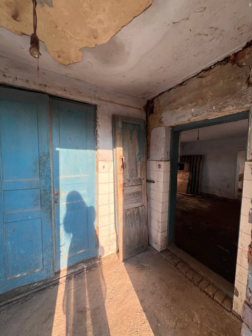 Житлова нерухомість Кам'янопіль, Старе Село, 65 фото 23