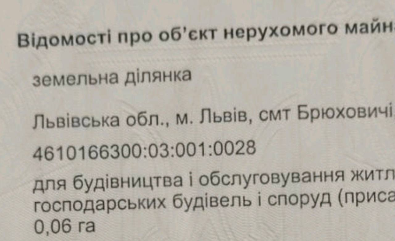 Земельні ділянки Брюховичі, 4610166300:03:001:0028 фото 2