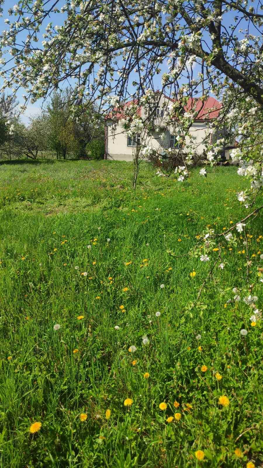Житлова нерухомість Будьків, Підгірна, 10 фото 25