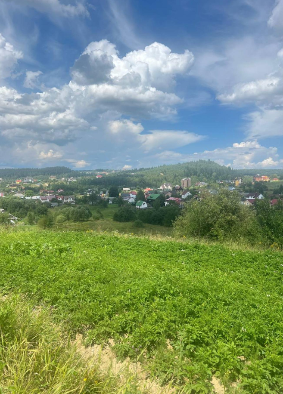 Земельні ділянки Східниця, 4610345400:06:014:0184 фото 9