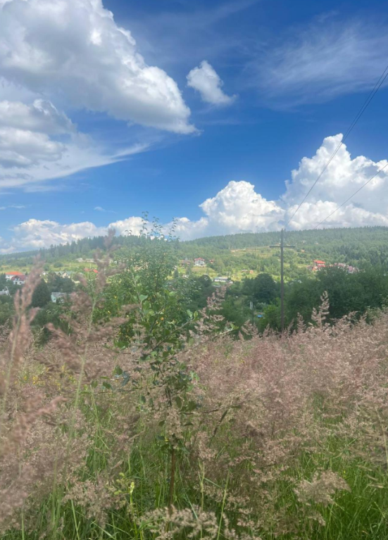 Земельні ділянки Східниця, Довбуша, 56 фото 15