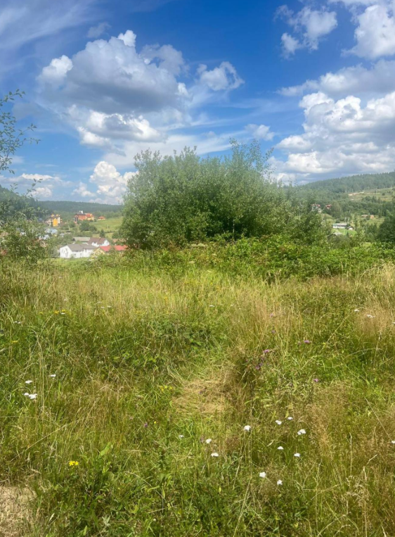 Продаж земельної ділянки, Східниця