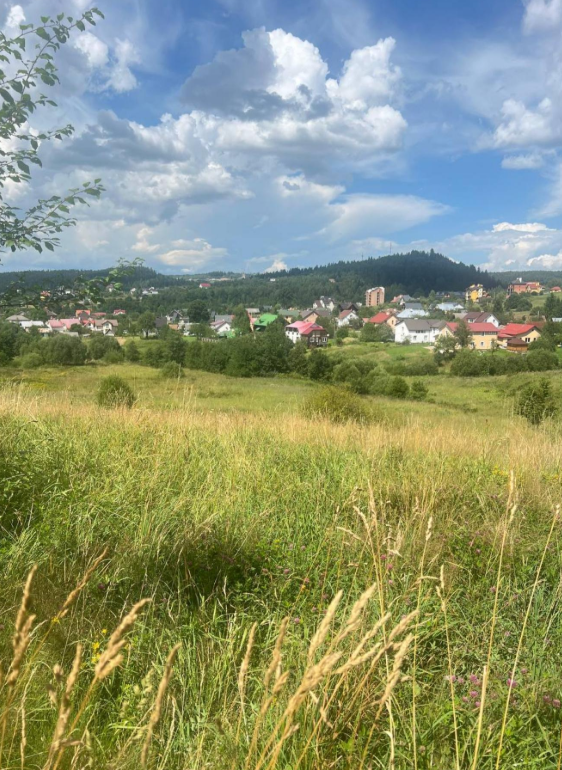 Земельні ділянки Східниця, Довбуша, 56 фото 2