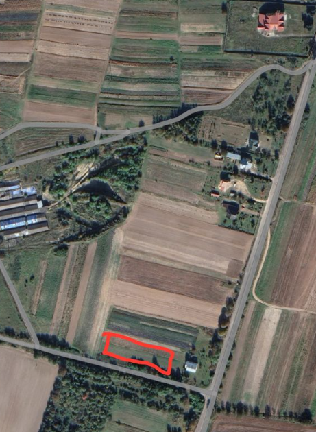 Продаж земельної ділянки, Зіболки
