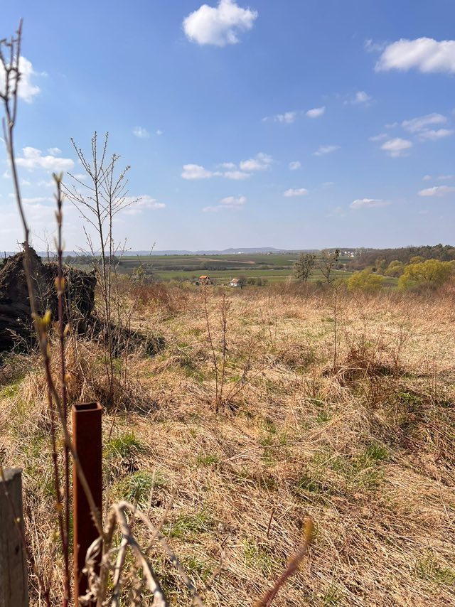 Продаж земельної ділянки, Гаї