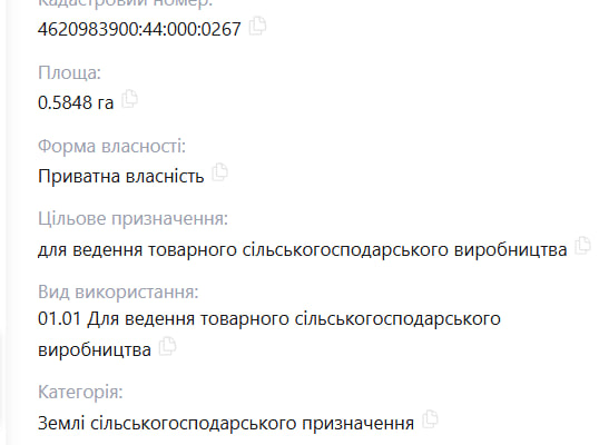 Земельні ділянки Керниця, 4620983900:44:000:0267 фото 2