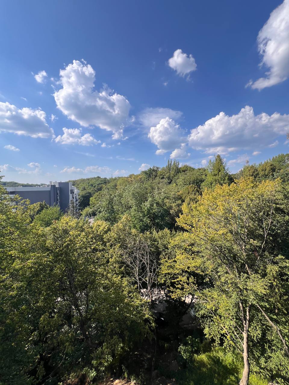 Житлова нерухомість Львів, Липова Алея, 5 фото 4