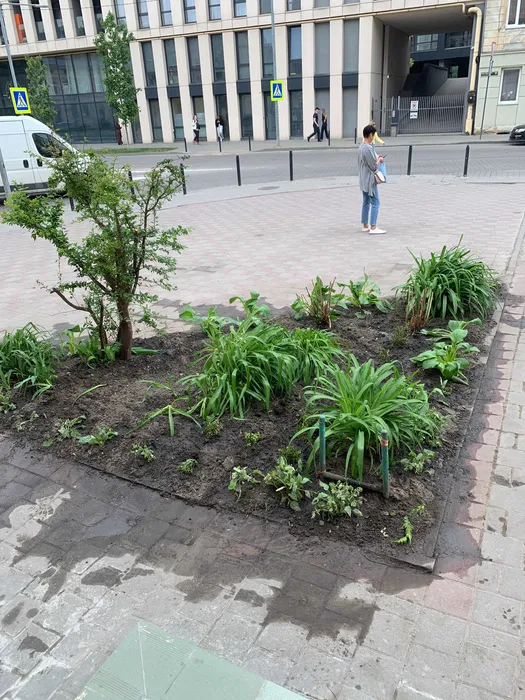 Комерційна нерухомість Львів, Джерельна фото 5