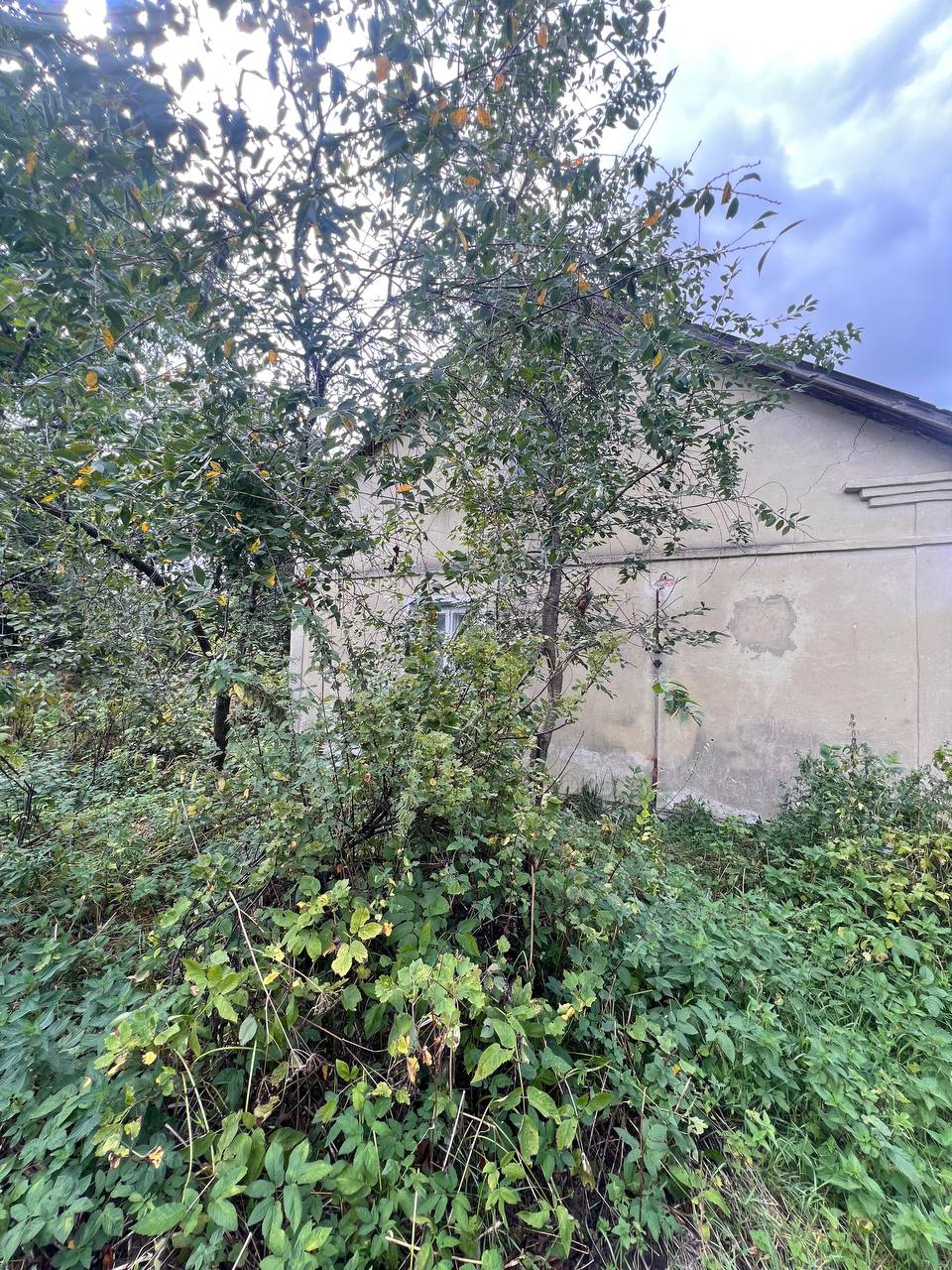 Житлова нерухомість Мілятін, Франка, 12 фото 13