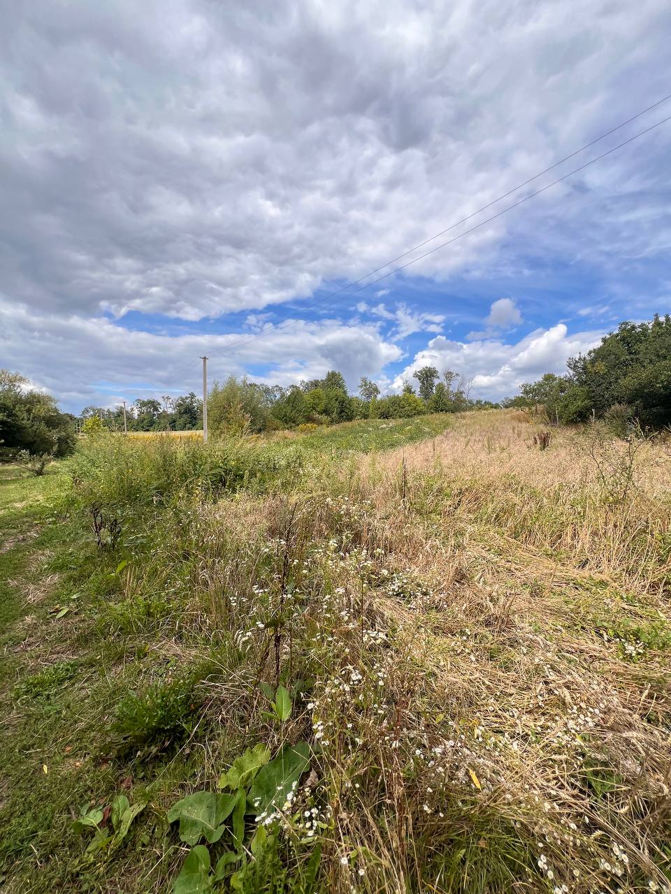 Житлова нерухомість Мілятін, Франка, 12 фото 2