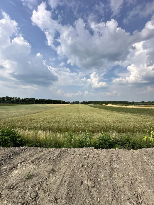 Продаж комерційного приміщення, Домажир